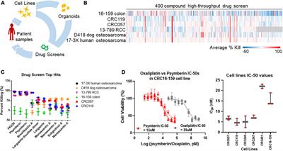 Psymberin, a marine-derived natural product, induces cancer <mark class="highlighted">cell growth arrest</mark> and protein translation inhibition